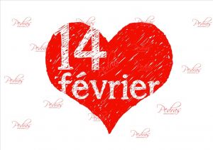 Actualités - février 2019