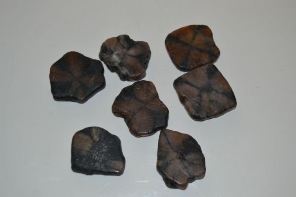 Pierres brutes - 2/3